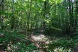 0-Lot 15 Hemlock Bluff Way - Photo 5