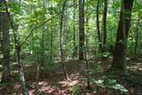 0-Lot 15 Hemlock Bluff Way - Photo 9