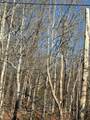 Lot 2 Lower River Road - Photo 2