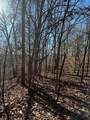 Lot 2 Lower River Road - Photo 4