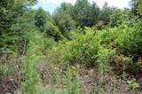 36 Stone Creek Trail - Photo 10