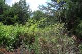 36 Stone Creek Trail - Photo 12