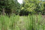 36 Stone Creek Trail - Photo 15