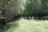 36 Stone Creek Trail - Photo 16