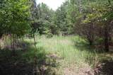 36 Stone Creek Trail - Photo 17