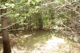 36 Stone Creek Trail - Photo 19