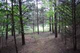 36 Stone Creek Trail - Photo 5