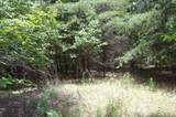 36 Stone Creek Trail - Photo 8
