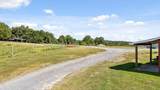 14011 Pierce Road - Photo 71