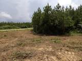 Lot 4 Summer City Road - Photo 10