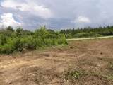 Lot 4 Summer City Road - Photo 11
