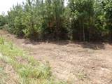 Lot 4 Summer City Road - Photo 15