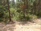 Lot 4 Summer City Road - Photo 2