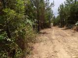 Lot 4 Summer City Road - Photo 5