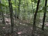 0 Deer Ridge Estates Road - Photo 11