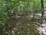 0 Deer Ridge Estates Road - Photo 6
