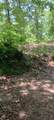 311 Roberts Mill Road - Photo 15