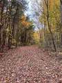1867 Big Ridge Road - Photo 10