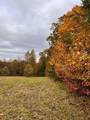 1867 Big Ridge Road - Photo 11