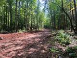 Tract 7 Pleasant Hill Road - Photo 5