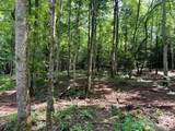 Tract 7 Pleasant Hill Road - Photo 7
