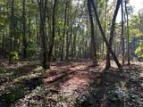 Tract 6 Pleasant Hill Road - Photo 8