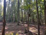 Tract 6 Pleasant Hill Road - Photo 9