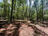 Tract 5 Pleasant Hill Road - Photo 10