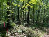 Tract 5 Pleasant Hill Road - Photo 15