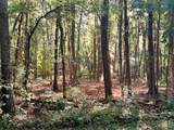 Tract 5 Pleasant Hill Road - Photo 18