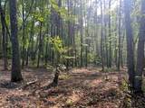 Tract 5 Pleasant Hill Road - Photo 19