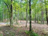 Tract 5 Pleasant Hill Road - Photo 9