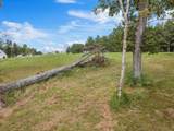 0-Lot 209 Bobcat Trail - Photo 32