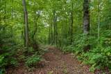 118 Beaten Path Road - Photo 58