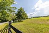 1129 Farmersville Road - Photo 26
