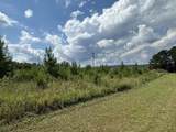 Lot #6 Highway 156 - Photo 6