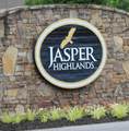 0-Jh195 Jasper Highlands Boulevard - Photo 11