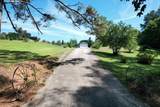 556 No Pone Valley Road - Photo 36
