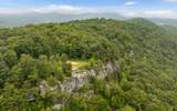1075 Acres Riggs Chapel Road - Photo 13