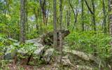 1075 Acres Riggs Chapel Road - Photo 22