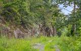 1075 Acres Riggs Chapel Road - Photo 23