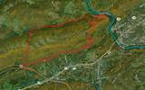 1075 Acres Riggs Chapel Road - Photo 29