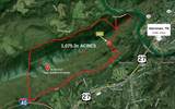 1075 Acres Riggs Chapel Road - Photo 5