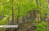7335 Pittsburg Mountain Road - Photo 15
