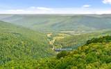 7335 Pittsburg Mountain Road - Photo 21