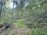 9675 Switchback Trail - Photo 2