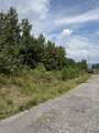 5.1 Ac County Road 159 - Photo 4