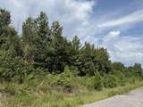 5.1 Ac County Road 159 - Photo 6