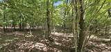Lot 327 2 Lake Trl - Photo 9