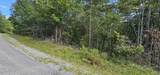 Lot 13 Bear Wallow Rd - Photo 5